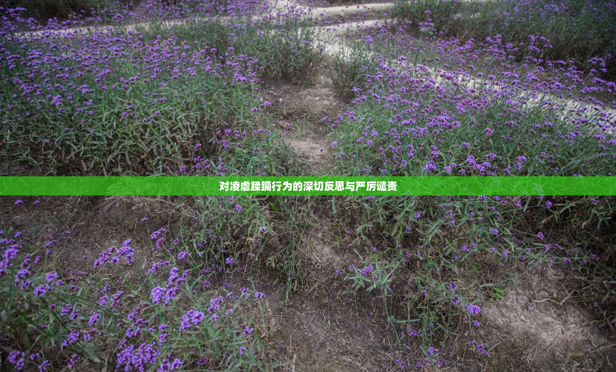对凌虐蹂躏行为的深切反思与严厉谴责