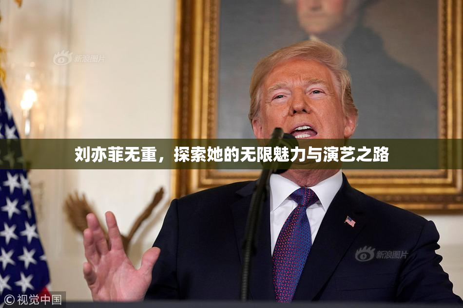 刘亦菲无重，探索她的无限魅力与演艺之路