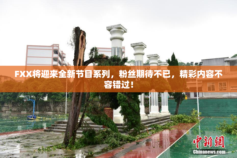 FXX将迎来全新节目系列，粉丝期待不已，精彩内容不容错过！
