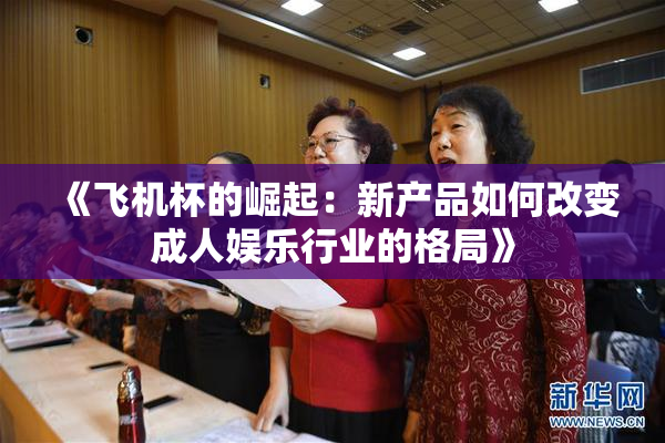 《飞机杯的崛起：新产品如何改变成人娱乐行业的格局》