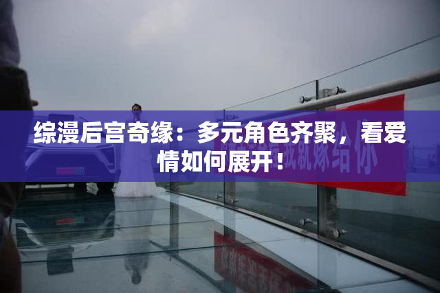 综漫后宫奇缘：多元角色齐聚，看爱情如何展开！