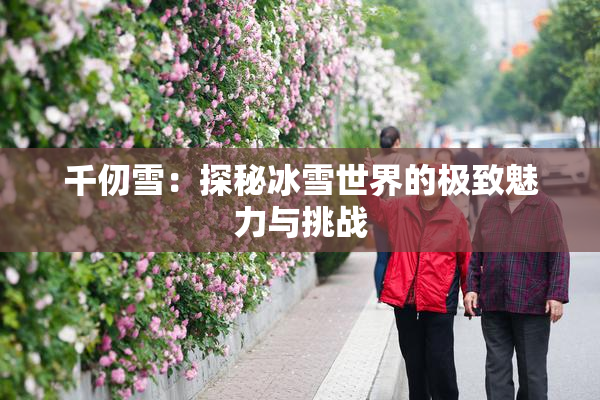 千仞雪：探秘冰雪世界的极致魅力与挑战