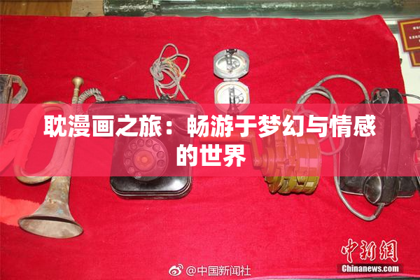 耽漫画之旅：畅游于梦幻与情感的世界