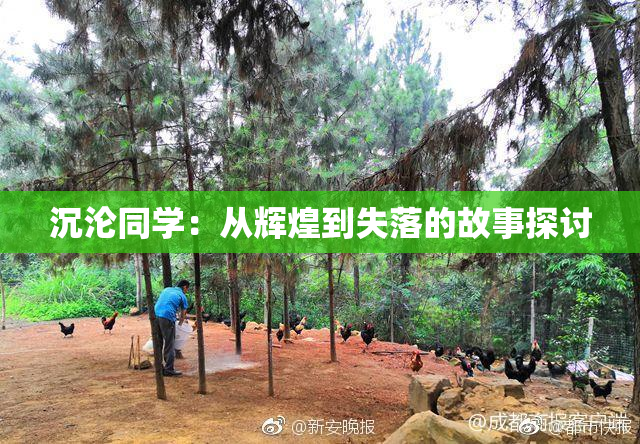 沉沦同学：从辉煌到失落的故事探讨