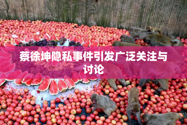 蔡徐坤隐私事件引发广泛关注与讨论