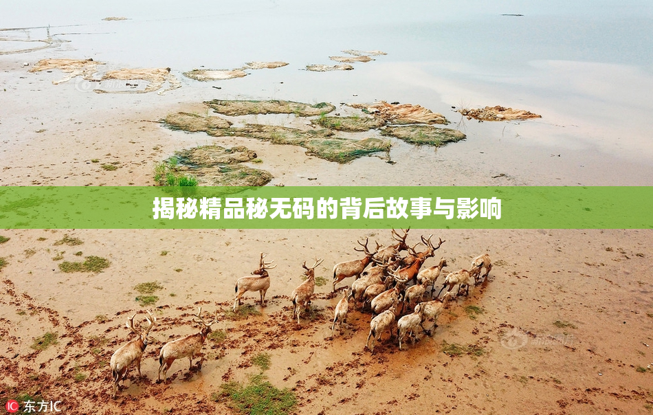 揭秘精品秘无码的背后故事与影响