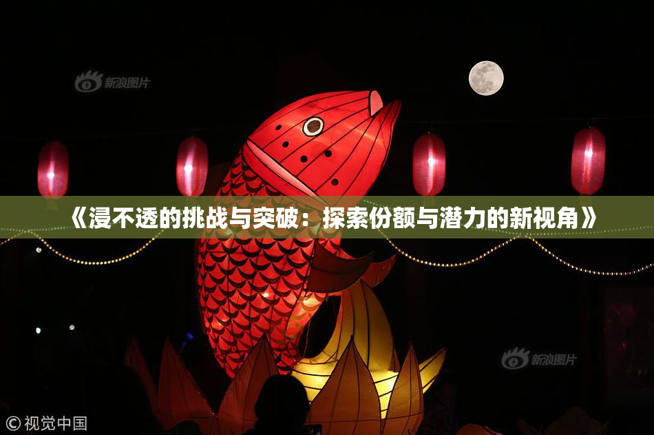 《浸不透的挑战与突破：探索份额与潜力的新视角》