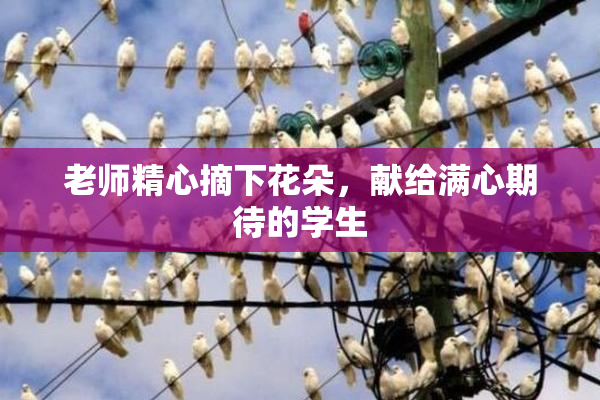 老师精心摘下花朵，献给满心期待的学生