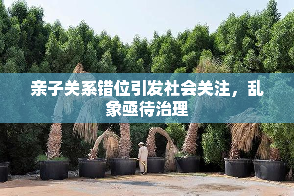 亲子关系错位引发社会关注，乱象亟待治理