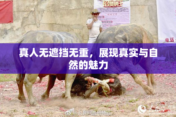 真人无遮挡无重，展现真实与自然的魅力