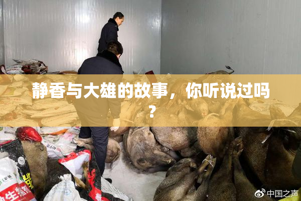 静香与大雄的故事，你听说过吗？