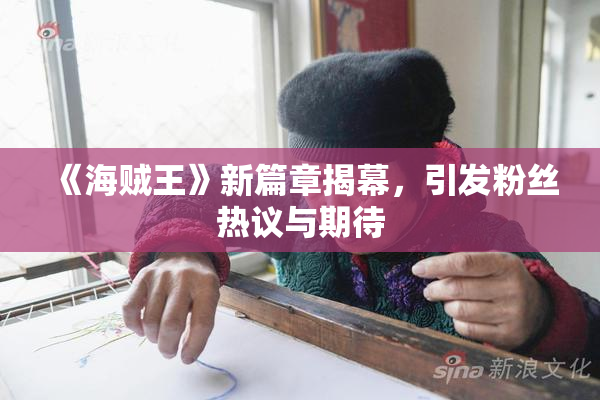 《海贼王》新篇章揭幕，引发粉丝热议与期待