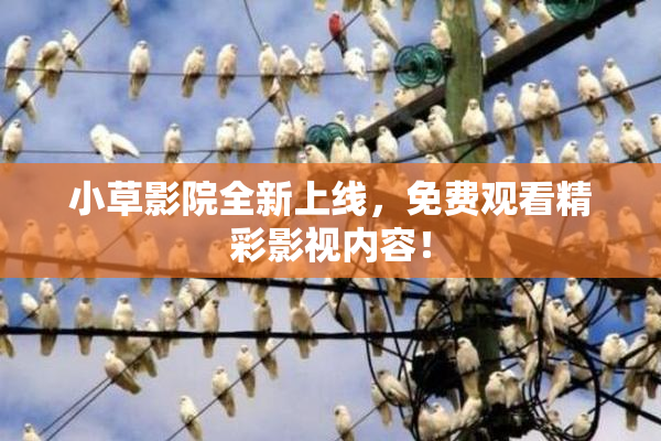 小草影院全新上线，免费观看精彩影视内容！
