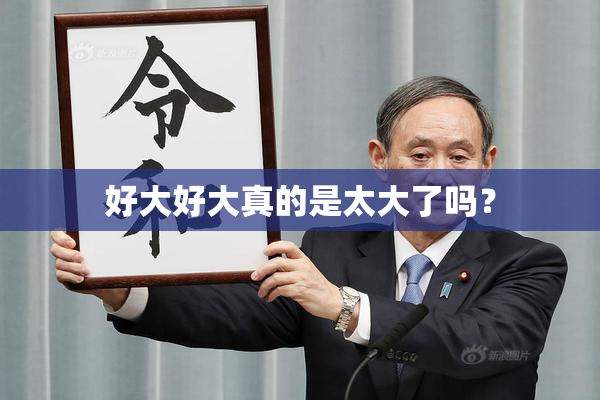 好大好大真的是太大了吗？