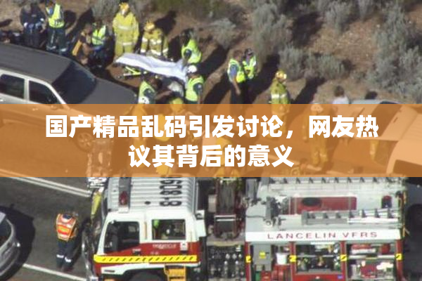 国产精品乱码引发讨论，网友热议其背后的意义