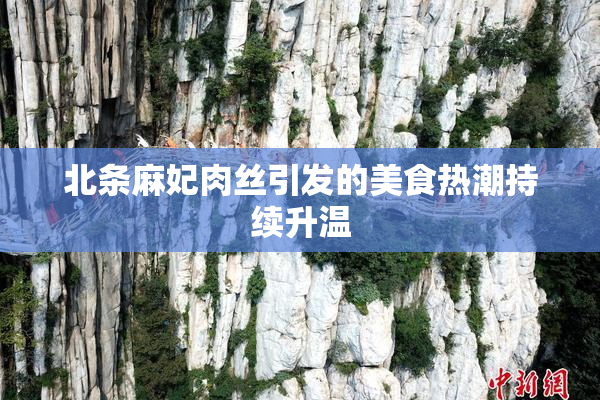 北条麻妃肉丝引发的美食热潮持续升温