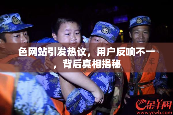 色网站引发热议，用户反响不一，背后真相揭秘
