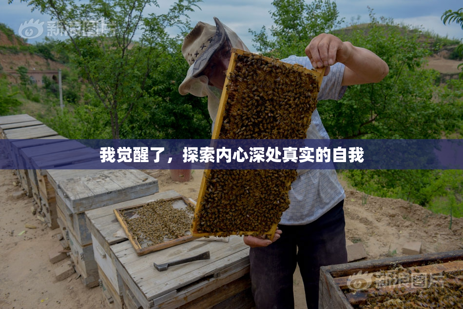 我觉醒了，探索内心深处真实的自我
