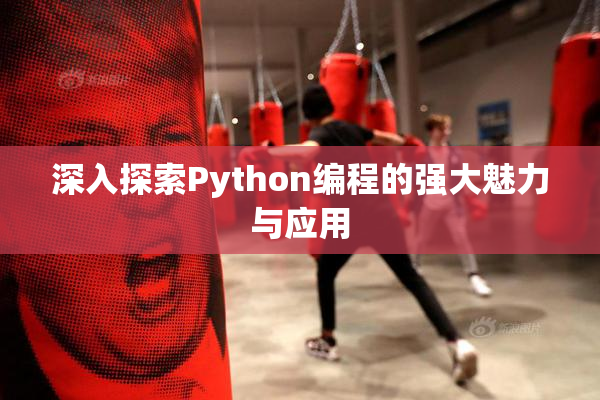 深入探索Python编程的强大魅力与应用