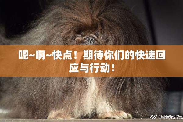 嗯~啊~快点！期待你们的快速回应与行动！