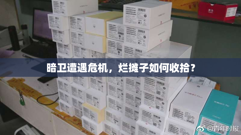暗卫遭遇危机，烂摊子如何收拾？