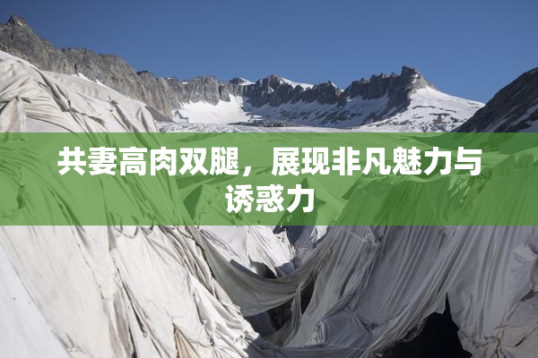 共妻高肉双腿，展现非凡魅力与诱惑力