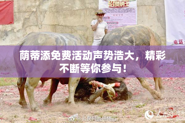荫蒂添免费活动声势浩大，精彩不断等你参与！