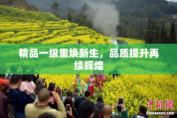 精品一级重焕新生，品质提升再续辉煌