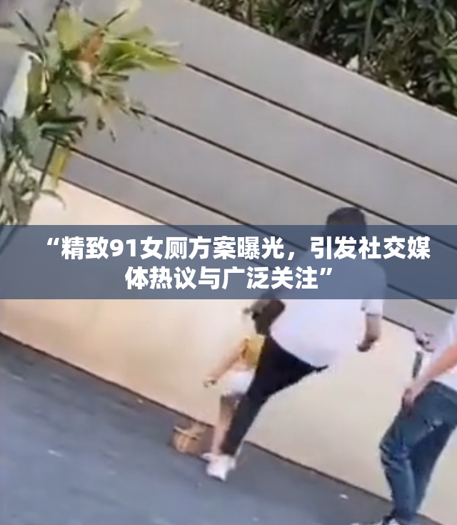 “精致91女厕方案曝光，引发社交媒体热议与广泛关注”