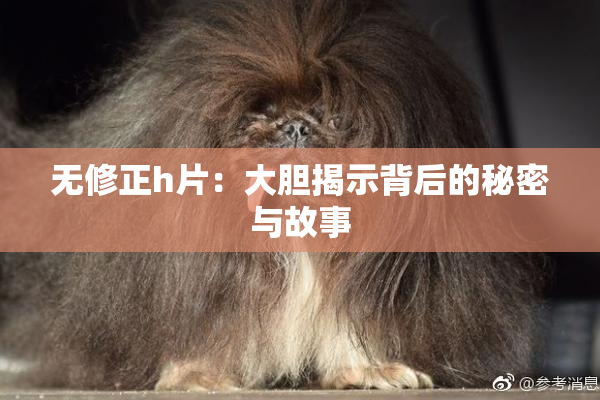 无修正h片：大胆揭示背后的秘密与故事