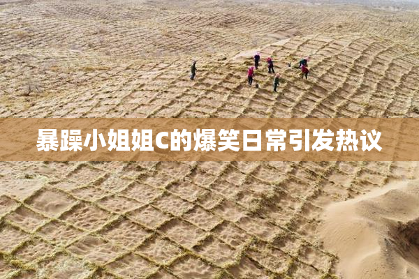 暴躁小姐姐C的爆笑日常引发热议