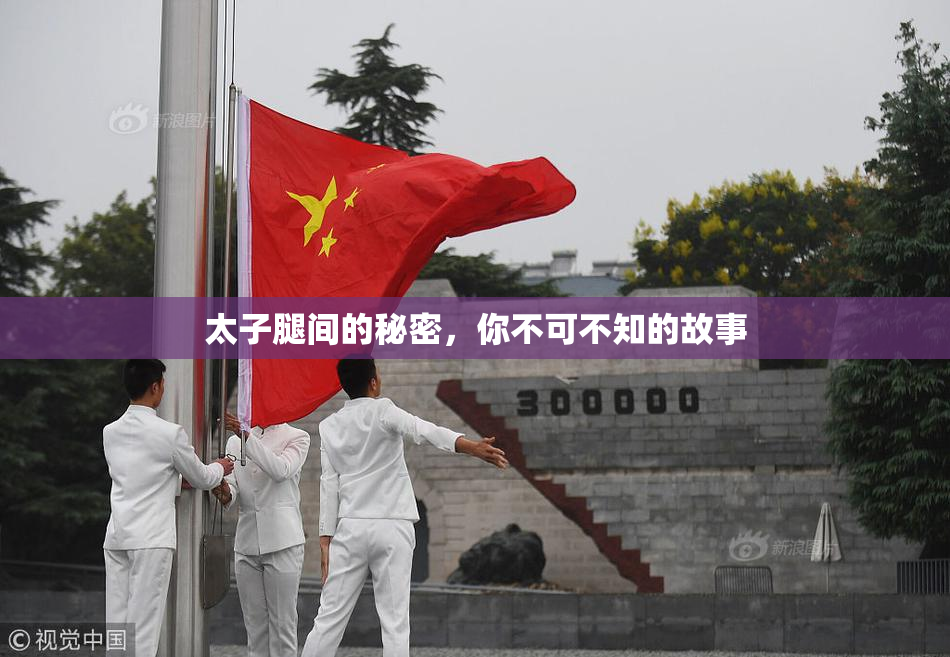 太子腿间的秘密，你不可不知的故事
