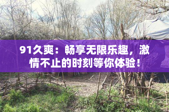 91久爽：畅享无限乐趣，激情不止的时刻等你体验！