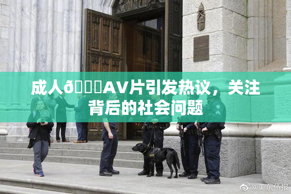 成人🔞AV片引发热议，关注背后的社会问题