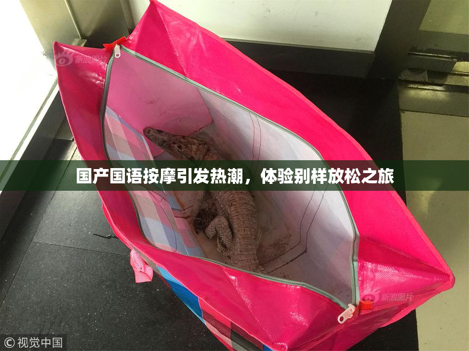 国产国语按摩引发热潮，体验别样放松之旅