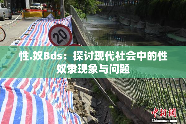 性.奴Bds：探讨现代社会中的性奴隶现象与问题