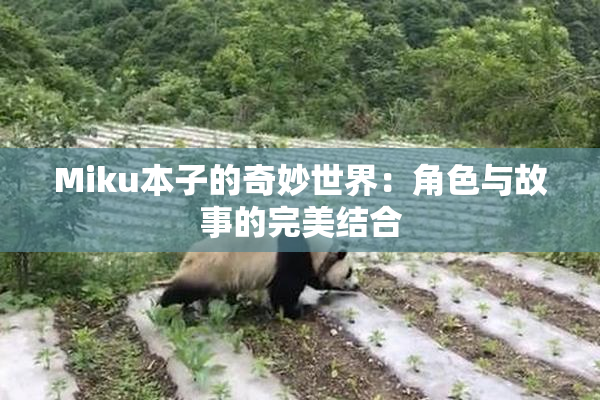 Miku本子的奇妙世界：角色与故事的完美结合