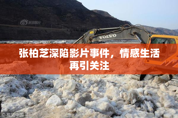 张柏芝深陷影片事件，情感生活再引关注