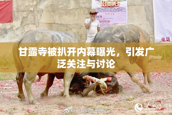 甘露寺被扒开内幕曝光，引发广泛关注与讨论