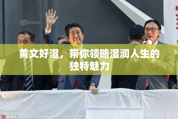 黄文好湿，带你领略湿润人生的独特魅力