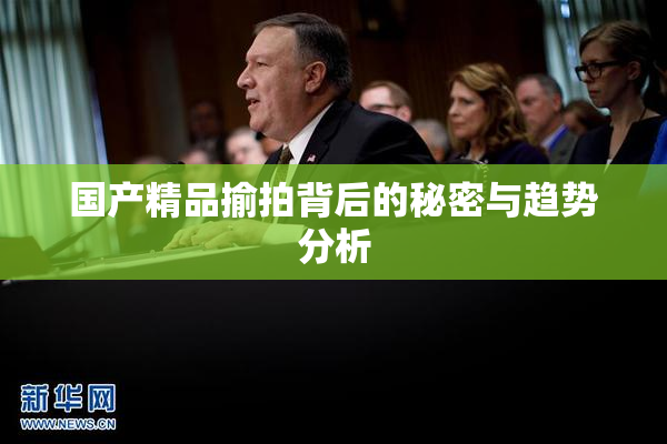 国产精品揄拍背后的秘密与趋势分析