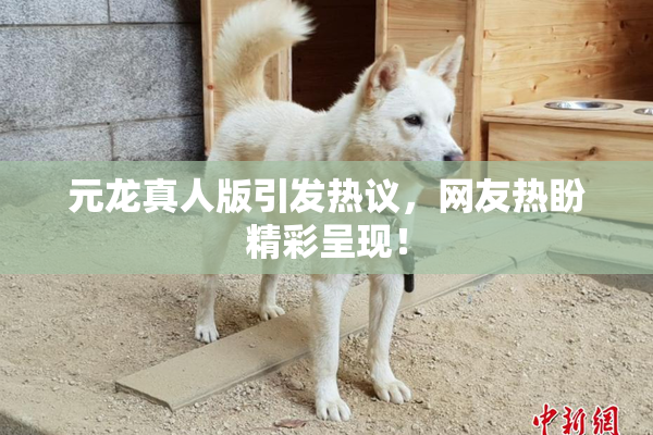 元龙真人版引发热议，网友热盼精彩呈现！
