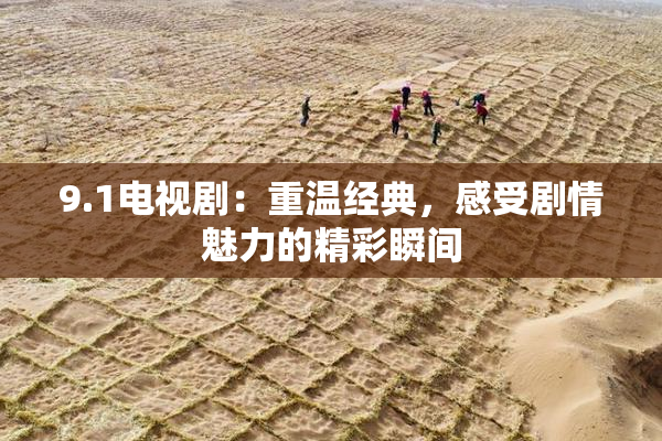 9.1电视剧：重温经典，感受剧情魅力的精彩瞬间