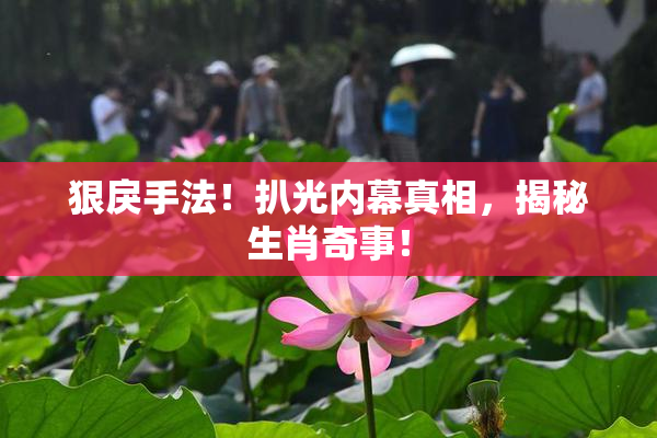 狠戾手法！扒光内幕真相，揭秘生肖奇事！