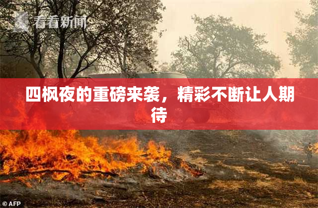 四枫夜的重磅来袭，精彩不断让人期待