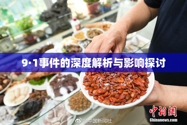 9·1事件的深度解析与影响探讨
