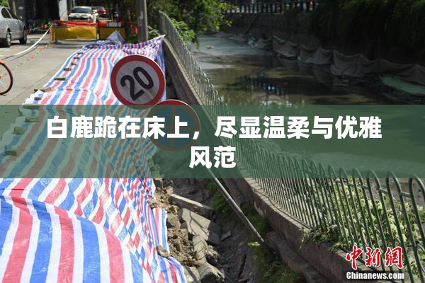 白鹿跪在床上，尽显温柔与优雅风范