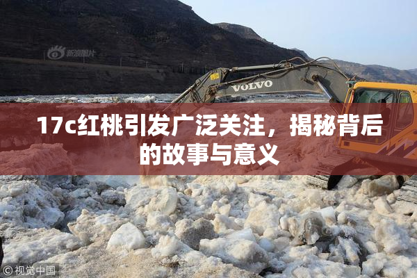 17c红桃引发广泛关注，揭秘背后的故事与意义