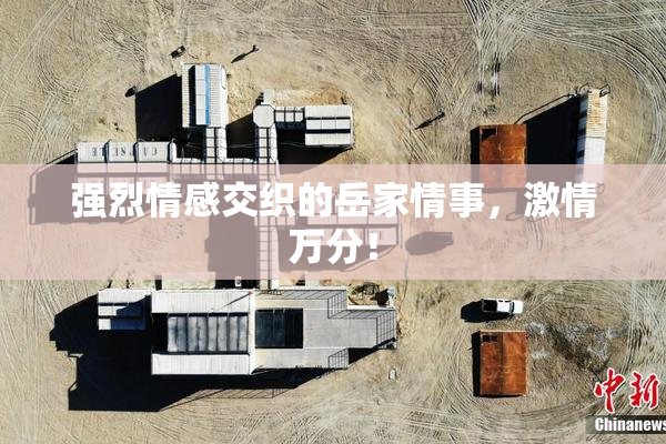 强烈情感交织的岳家情事，激情万分！