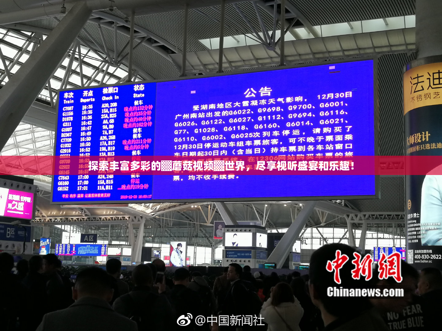 探索丰富多彩的▓蘑菇视频▓世界，尽享视听盛宴和乐趣！